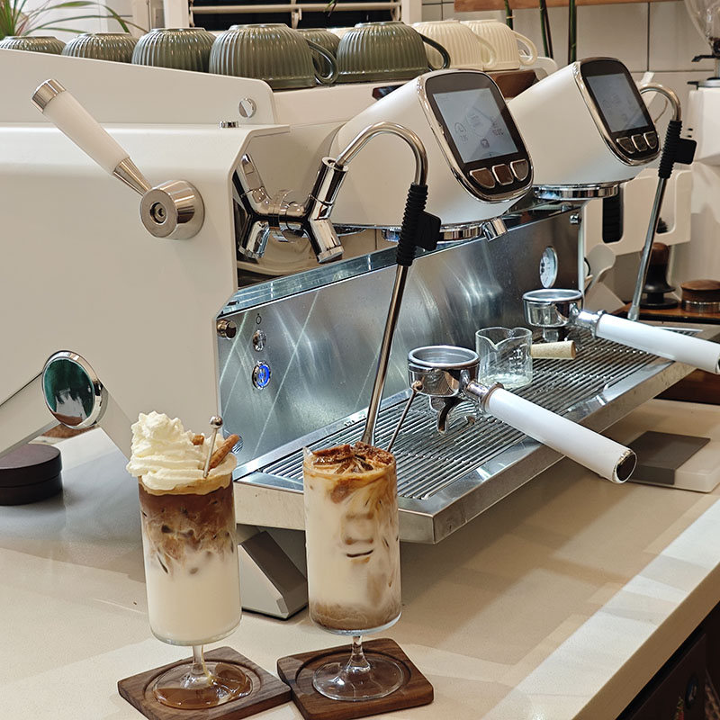 Semi-Automatic Commercial Prof - đánh giá và giá Coffee Equipment For Espresso Machine